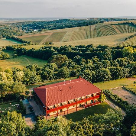 Němčičky Farma Ovci Terasyヴィラ エクステリア 写真
