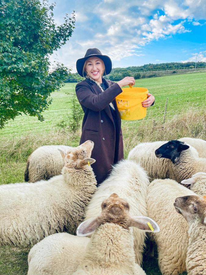 Němčičky Farma Ovci Terasyヴィラ エクステリア 写真